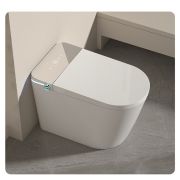 Smart-унитаз напольный BYN3 Standart