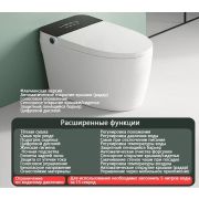 Smart-унитаз напольный с импульсным смывом P-10 Flagman
