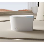 G6 Smart-унитаз напольный с отводом в стену/пол