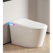 Smart-унитаз напольный M205-Rainbow Base