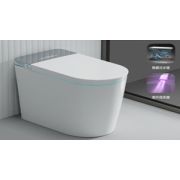 Smart-унитаз напольный F24 Premium