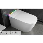 Smart-унитаз напольный 861 Standart+