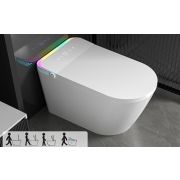 Smart-унитаз напольный 861 Premium