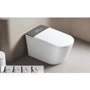 Smart-унитаз напольный 866 Standart